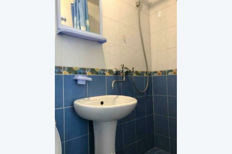 Фото Кенгуру