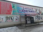 Элегант (ulitsa Balyabina, 132А), tienda de productos mixtos