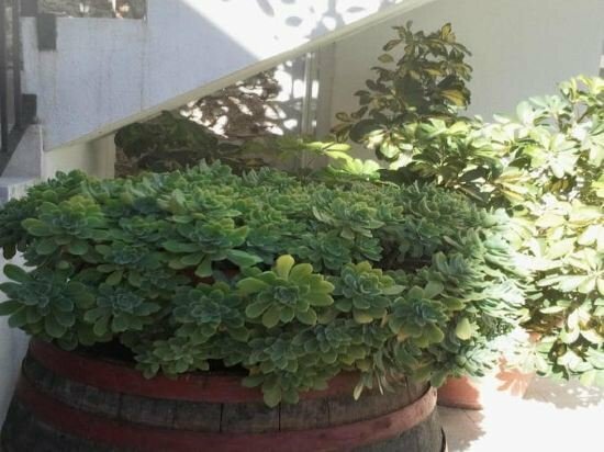 Гостиница B&b Casa Saba