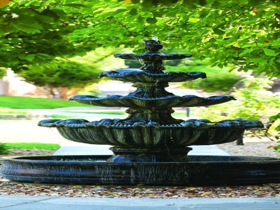 Фото WorldMark Clear Lake