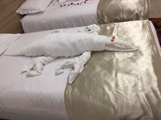 Фото Hôtel Al Baraka