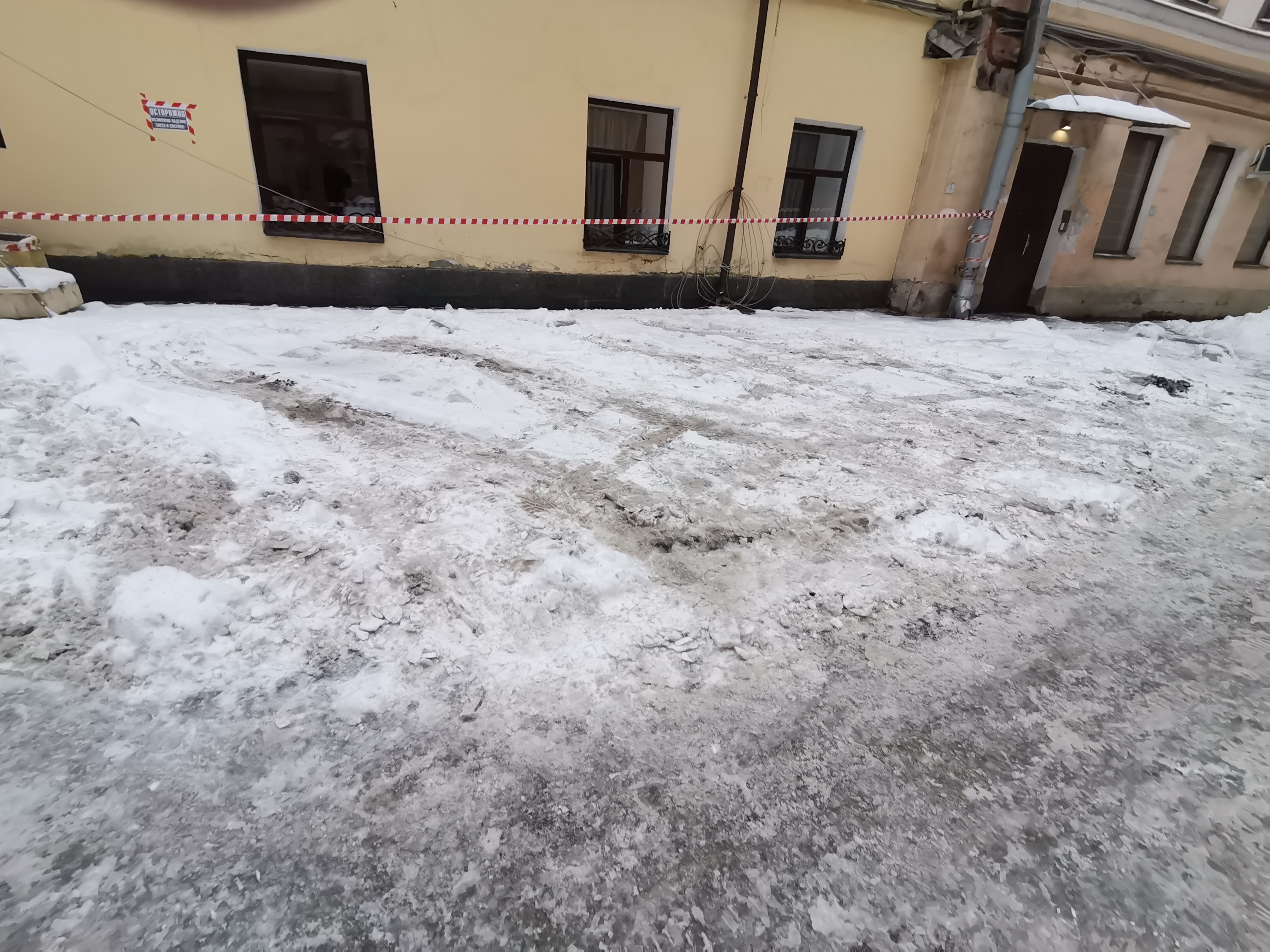 Фото Simple Эдельвейс