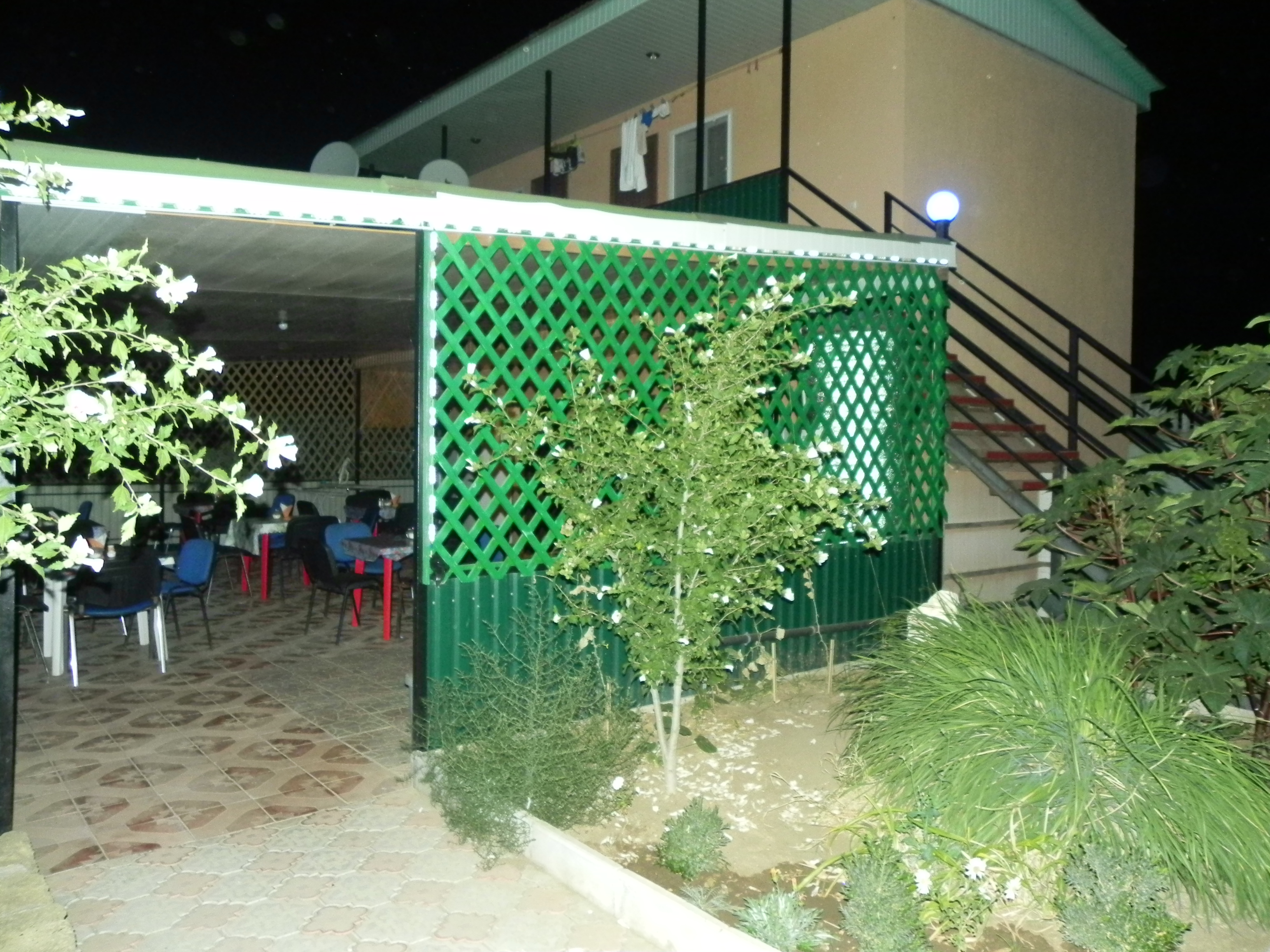 Фото Фанни Вероника