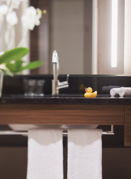 Фото Movenpick Hotel Geneva