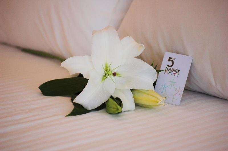 Фото The 5 Elements Hotel