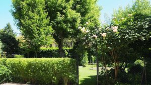 Гостиница B&b Giardino 34