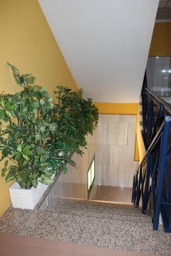 Фото Hostal Prickly