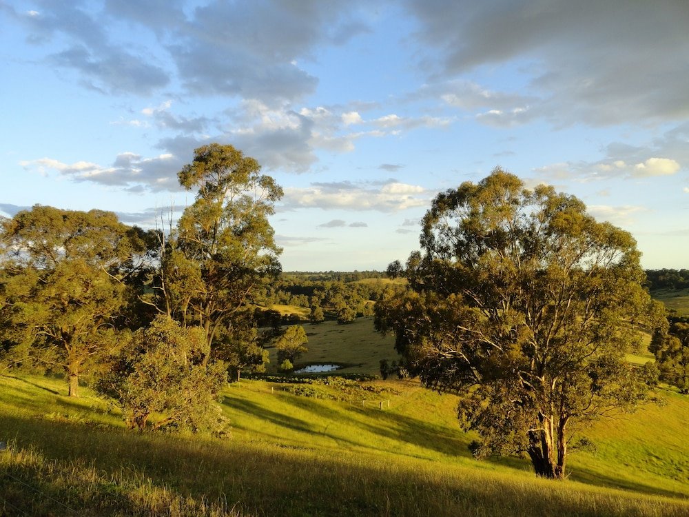 Фото Down to Earth Farm Retreat