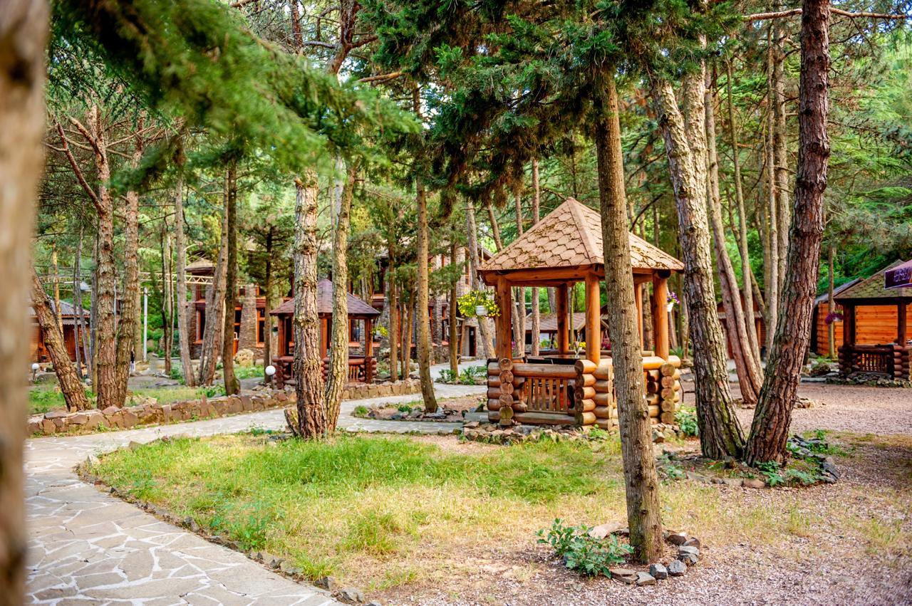 Фото Затерянный мир