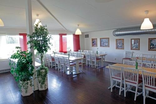 Фото Rasta Grums