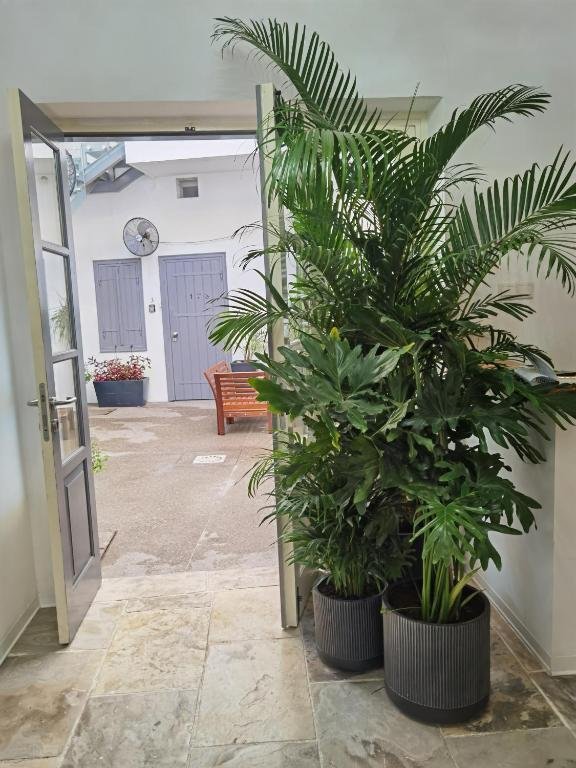 Фото Edem Traditional House