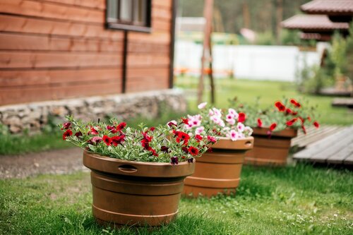 Медведь и Ягодка — фото 5