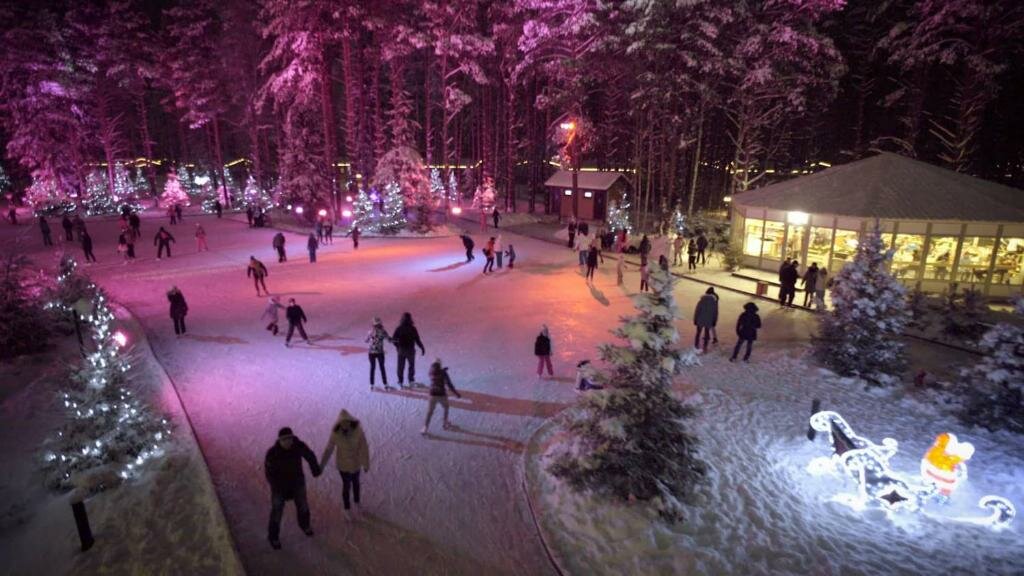 Охта парк коньки