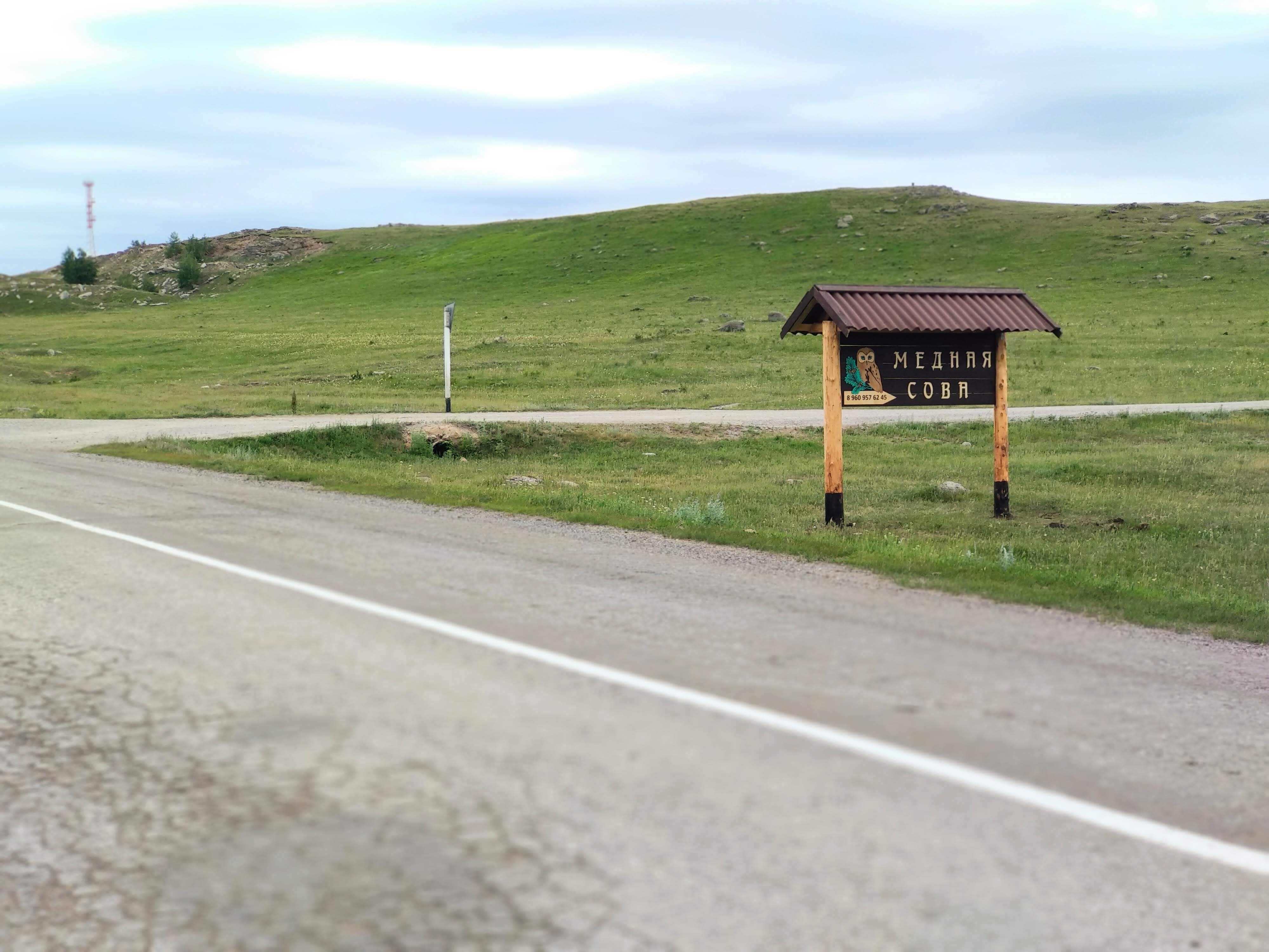 Фото Медная Сова