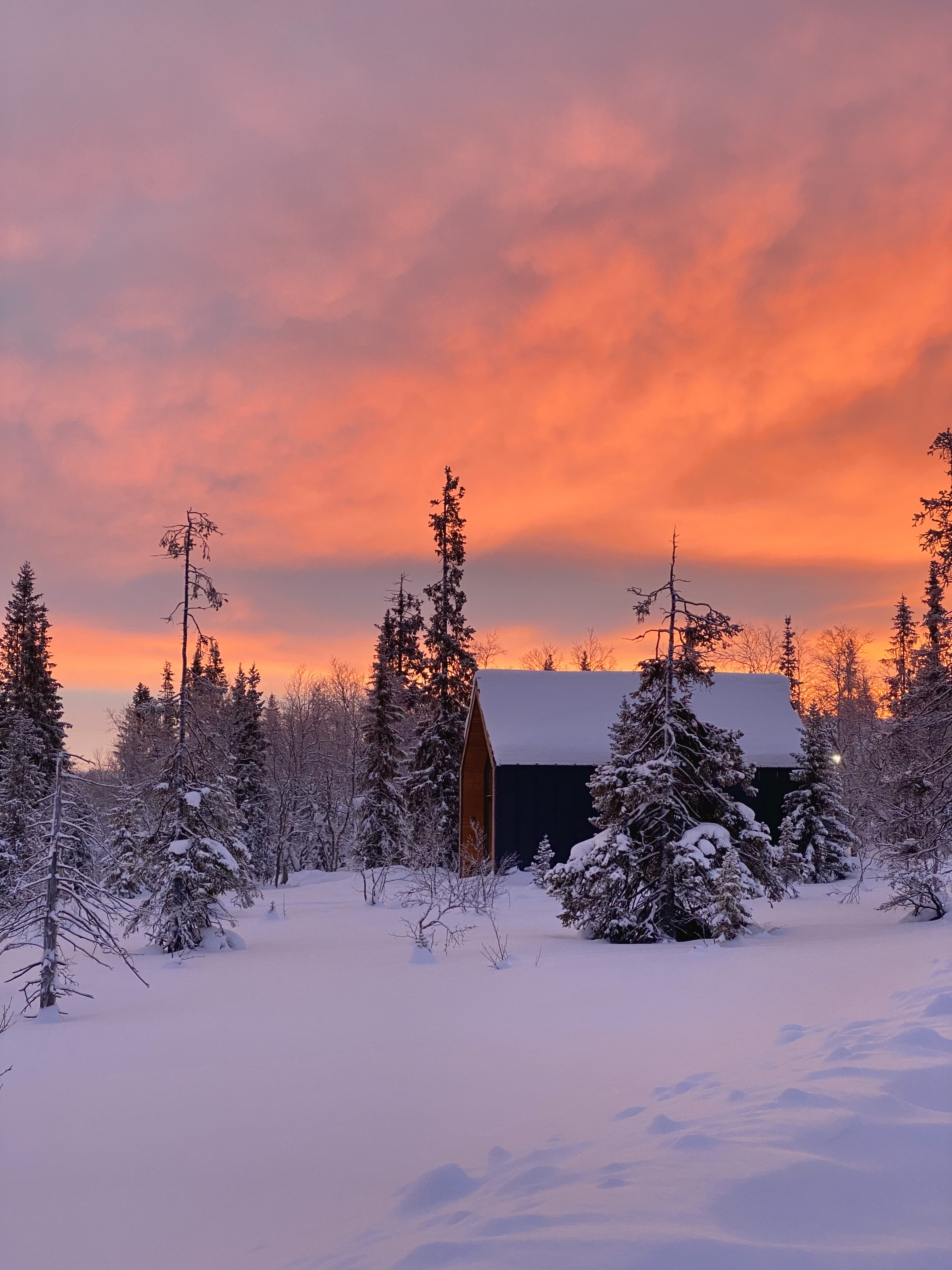 Фото Aurora Барнхаус