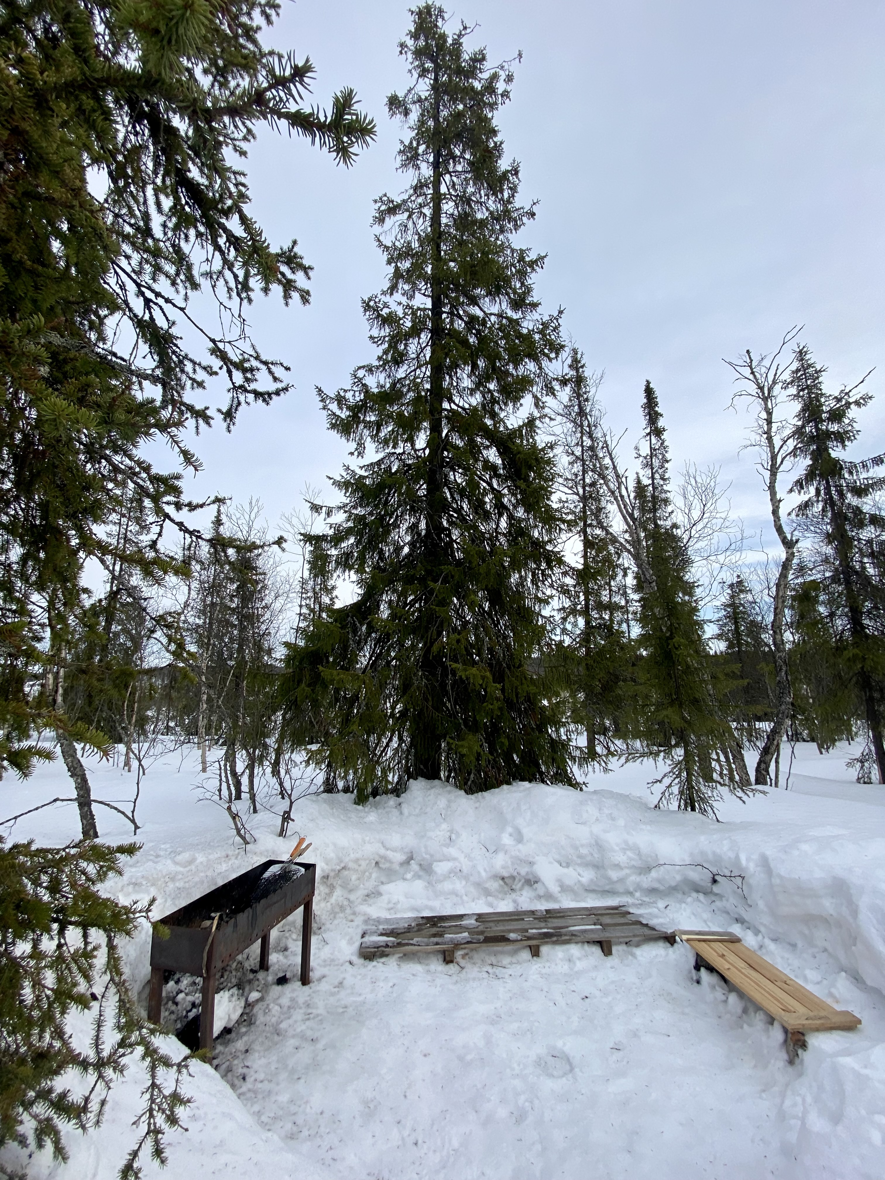 Фото Aurora Барнхаус