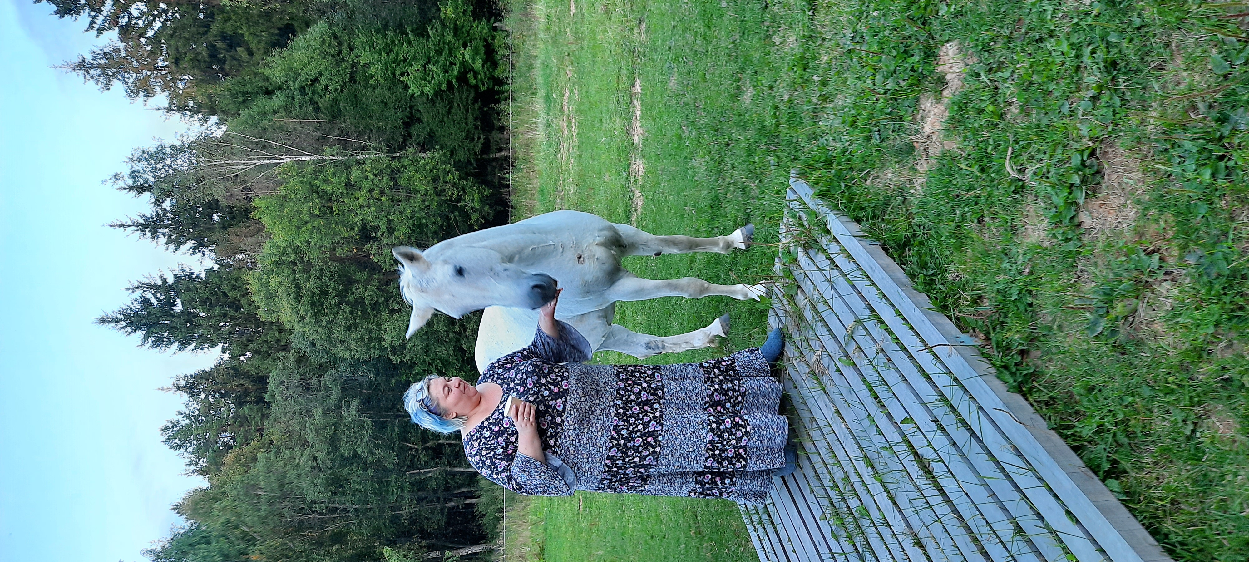 Фото Старсподворье