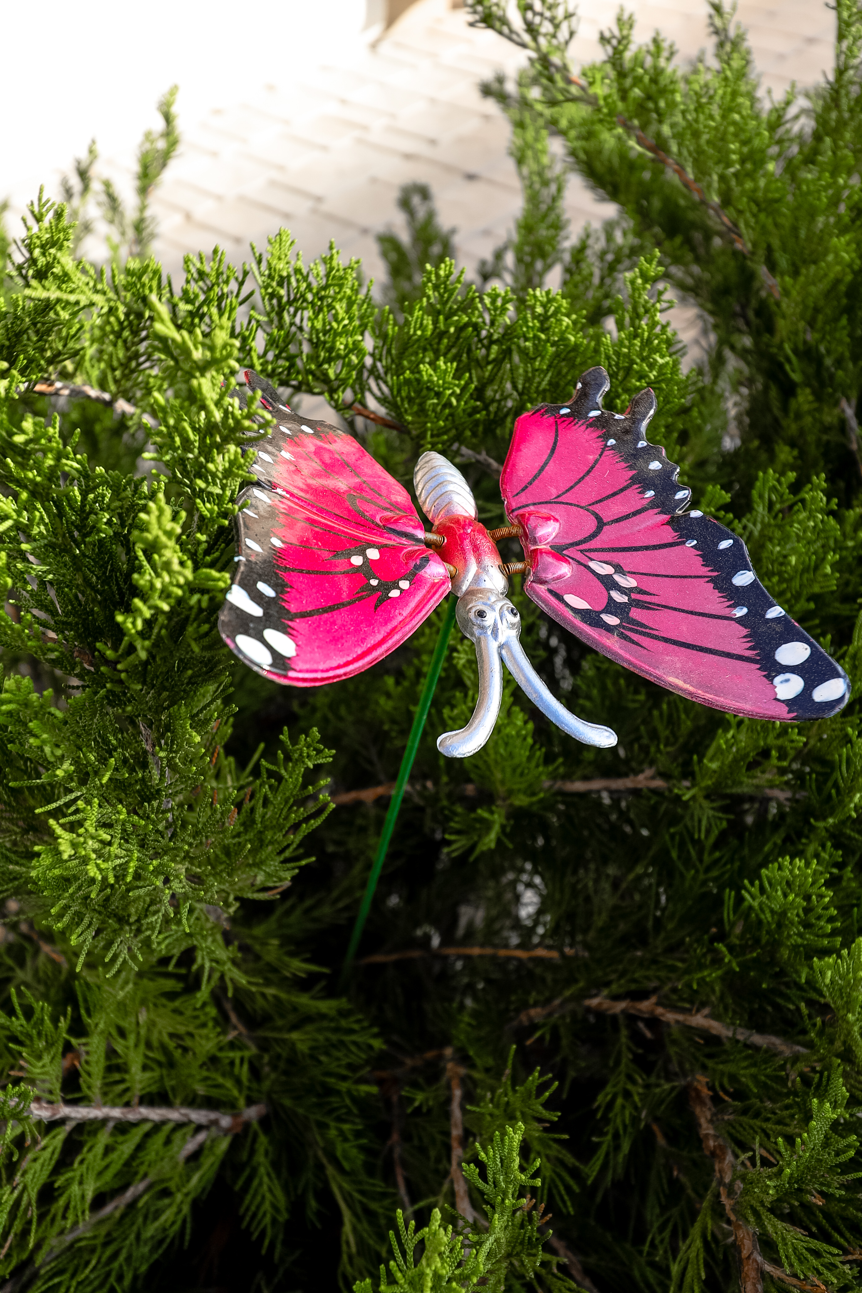 Фото Маленькая страна