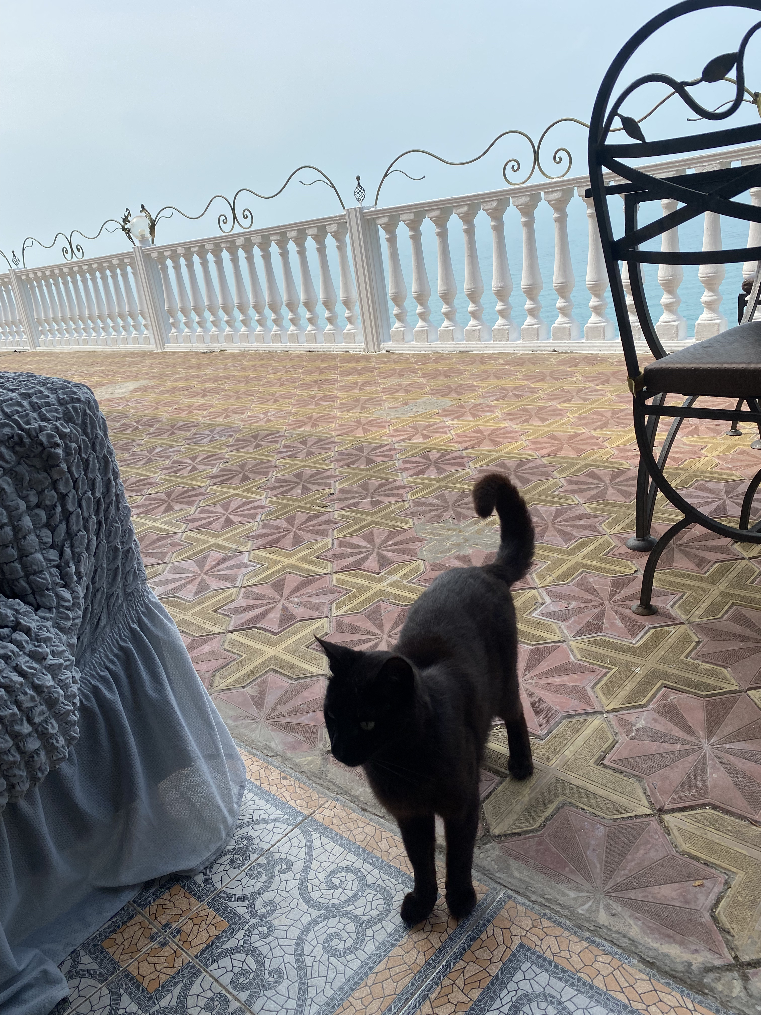 Фото Вилла Плаза