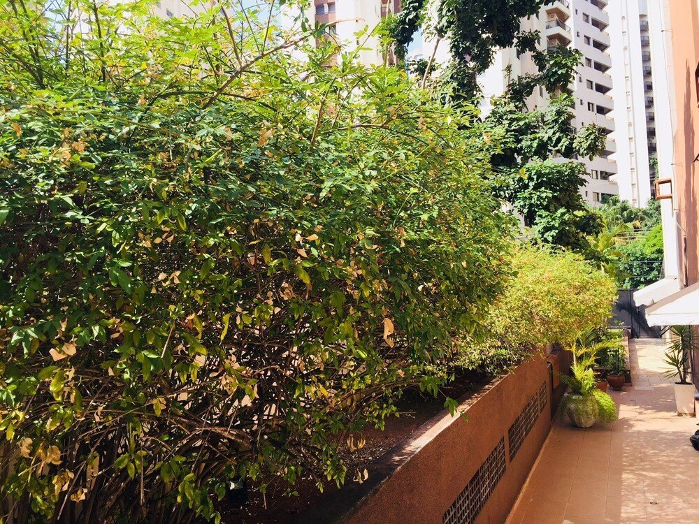 Фото Duplex Vila Nova Conceição