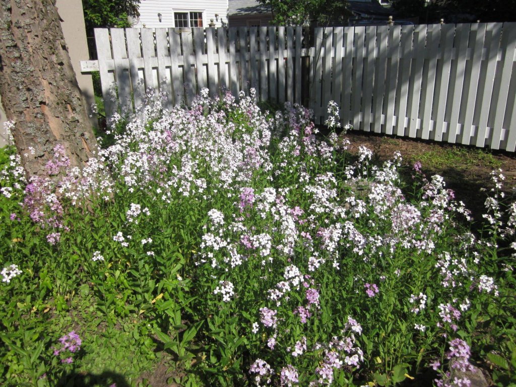 Фото Prince Street Suites