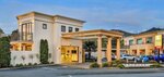 Palazzo Motor Lodge