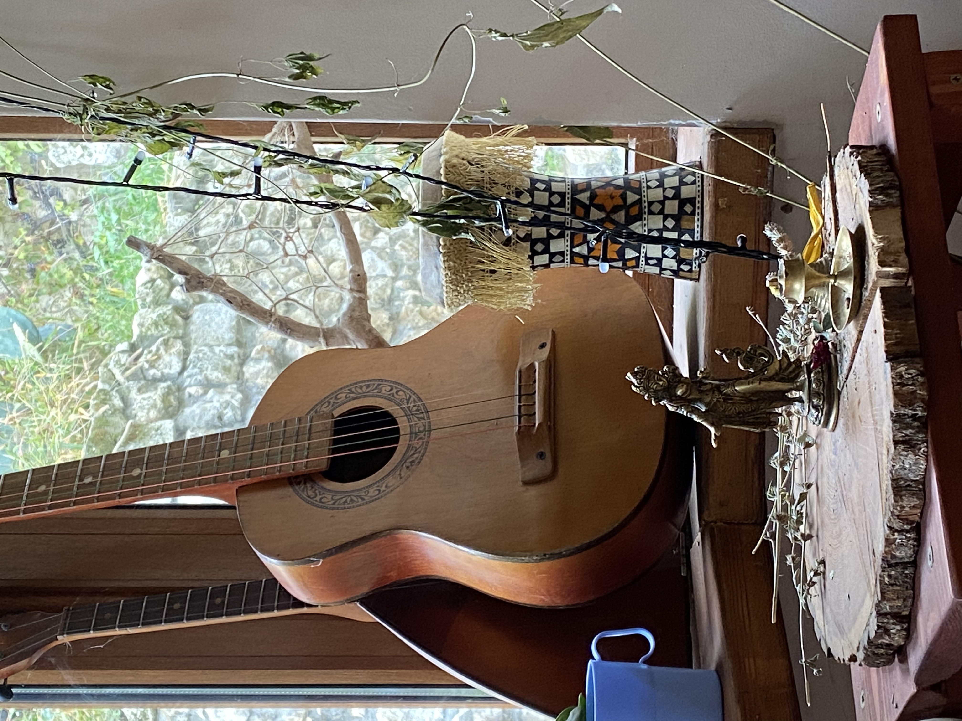 Фото Лисьи сны