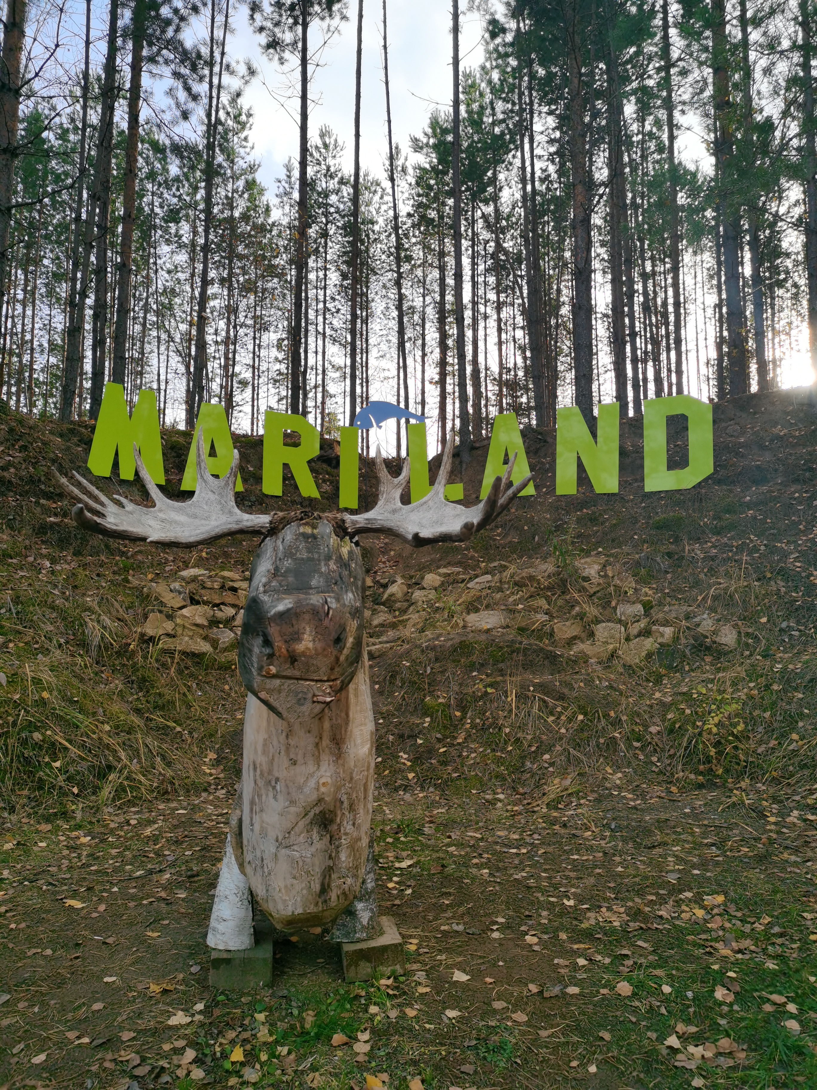 Фото MariLand