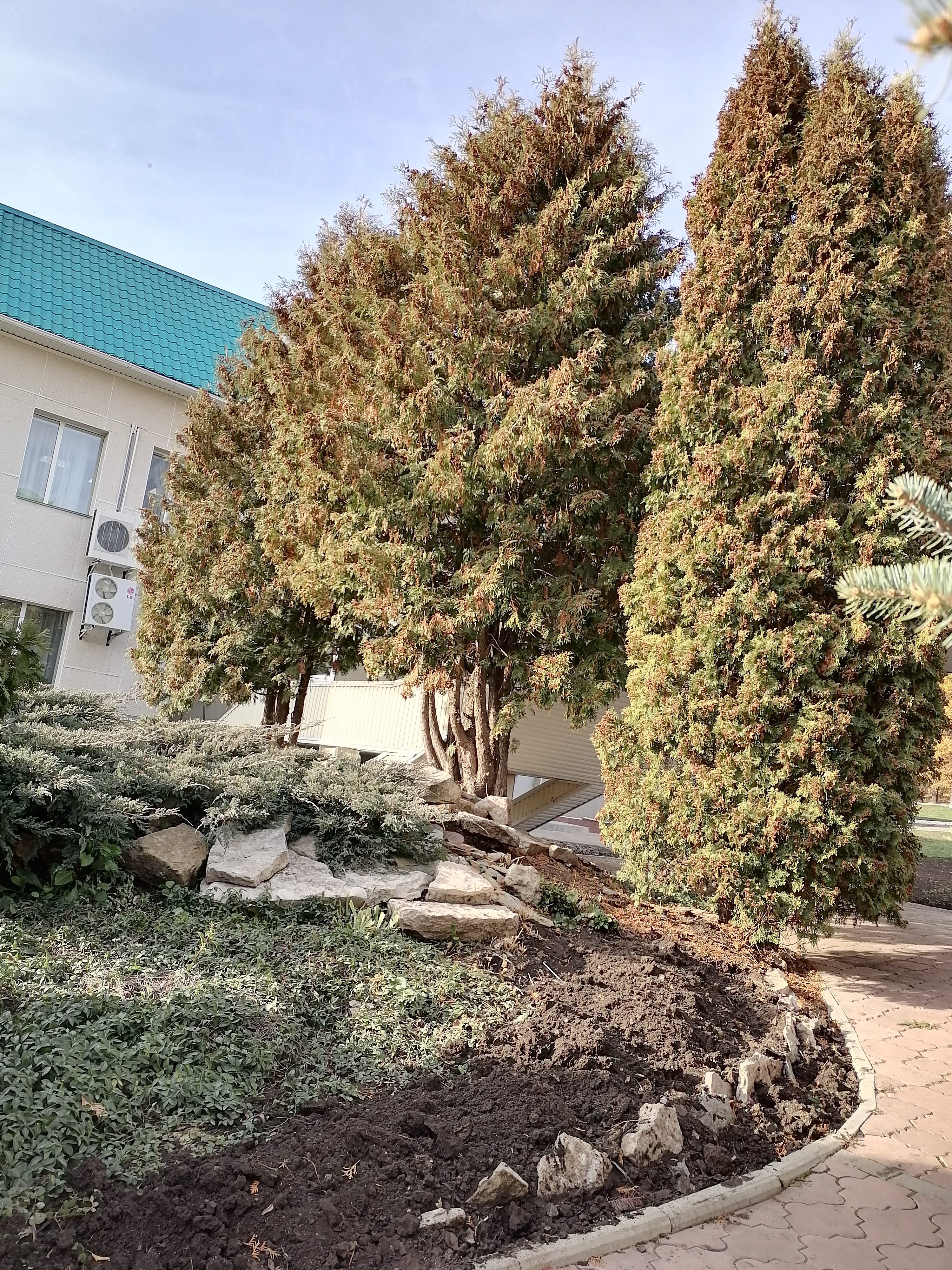 Фото Ромашкино