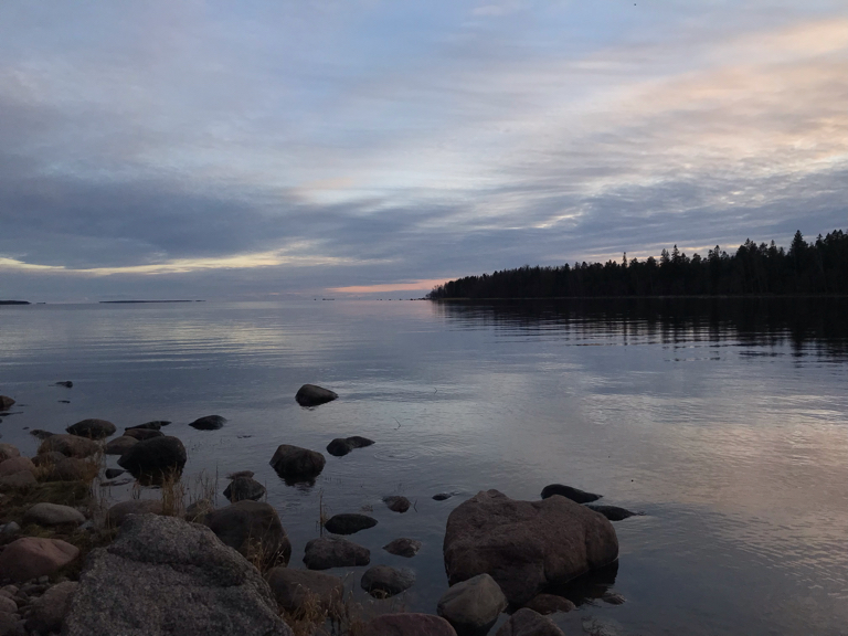 Фото Вилайоки АГРО