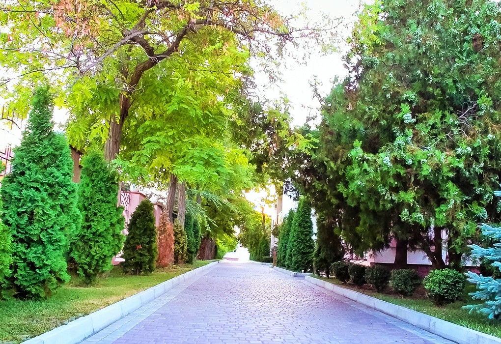 Фото Царь Евпатор