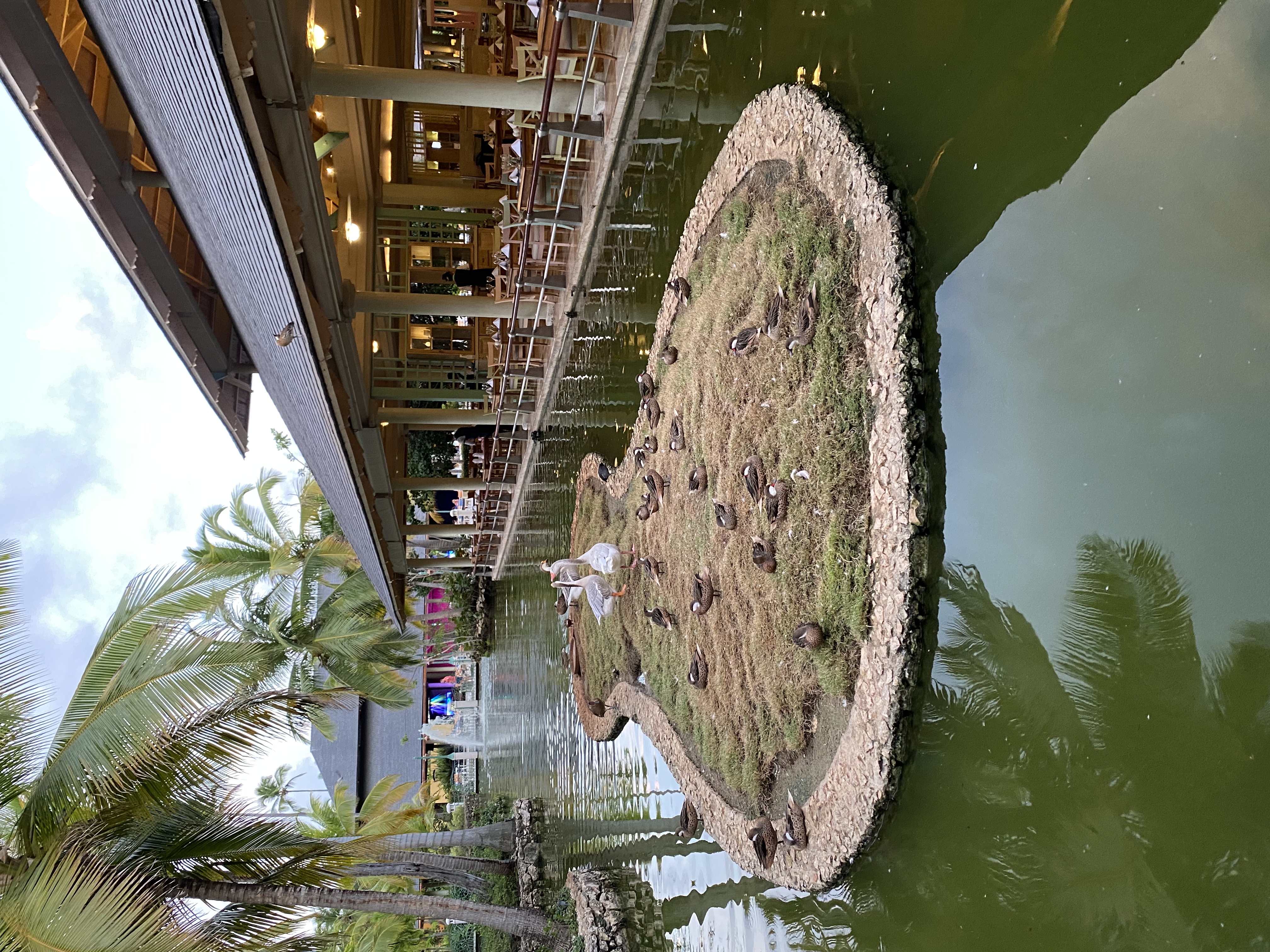 Фото Iberostar Selection Bavaro Suites