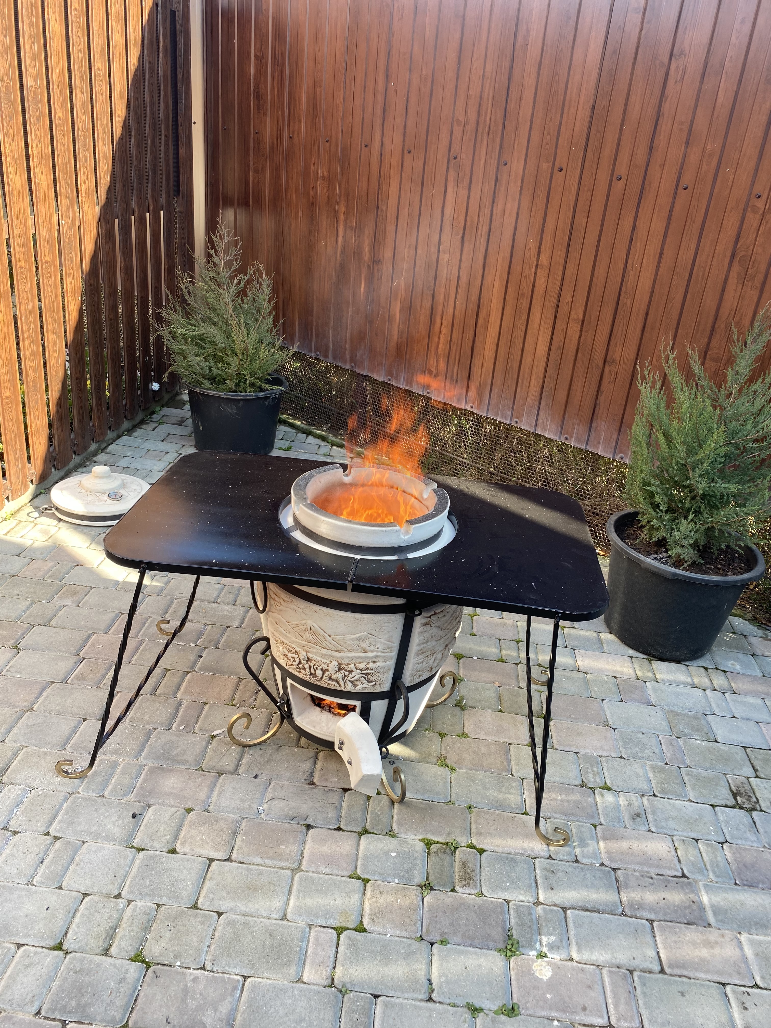 Фото Золотой дуб