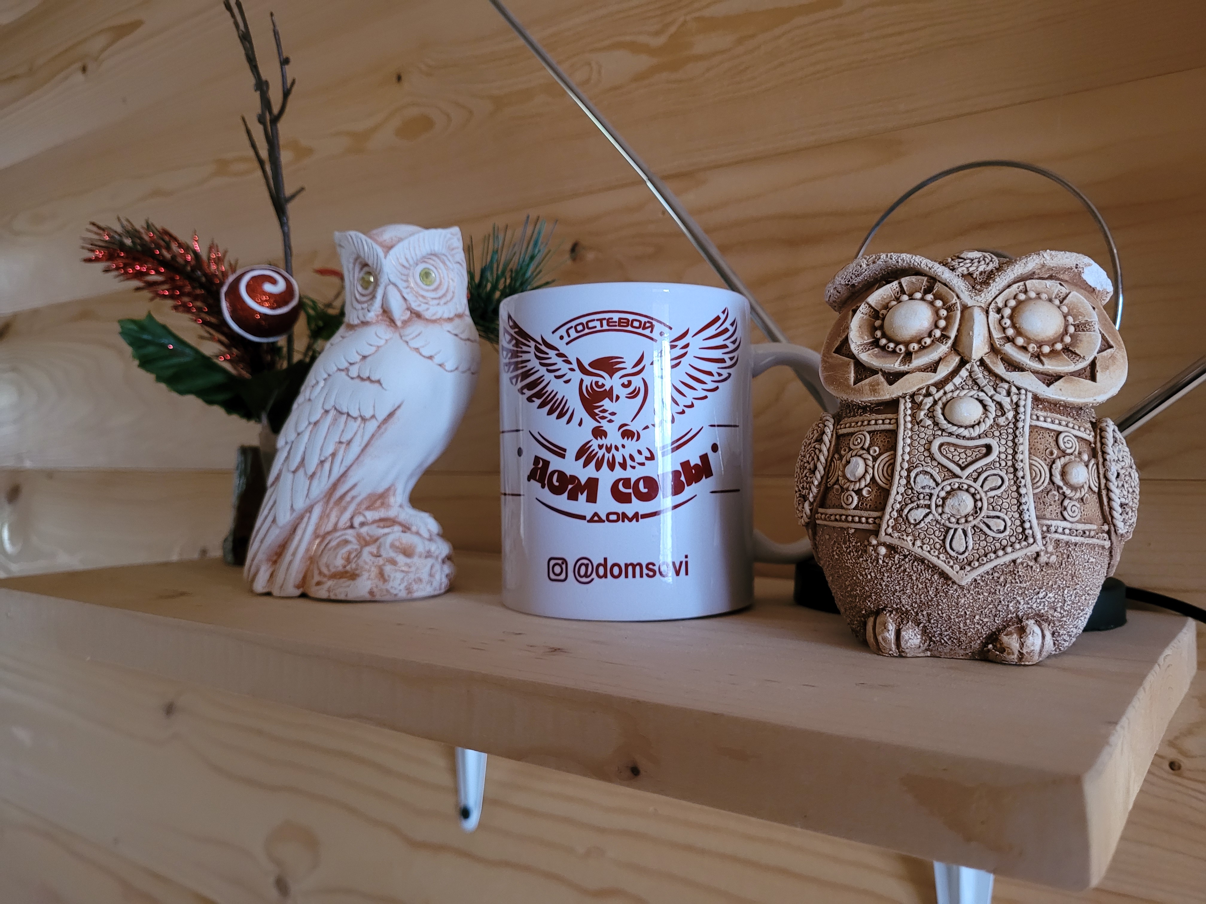 Фото Дом Совы