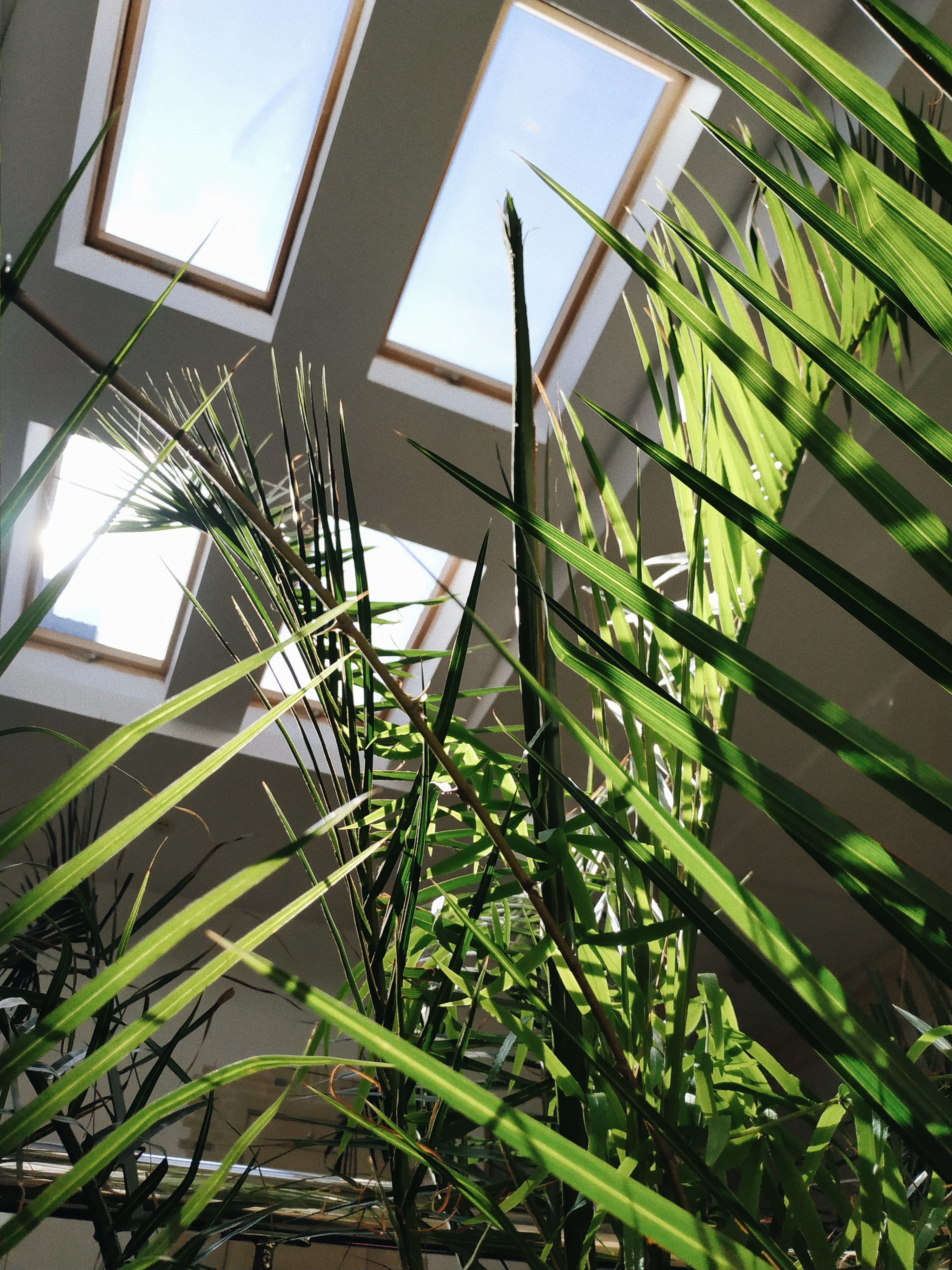 Фото Бутик-Отель Прованс