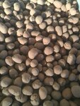Keramzit (Кубанская улица, 27) ، بيع مواد البناء بالجملة