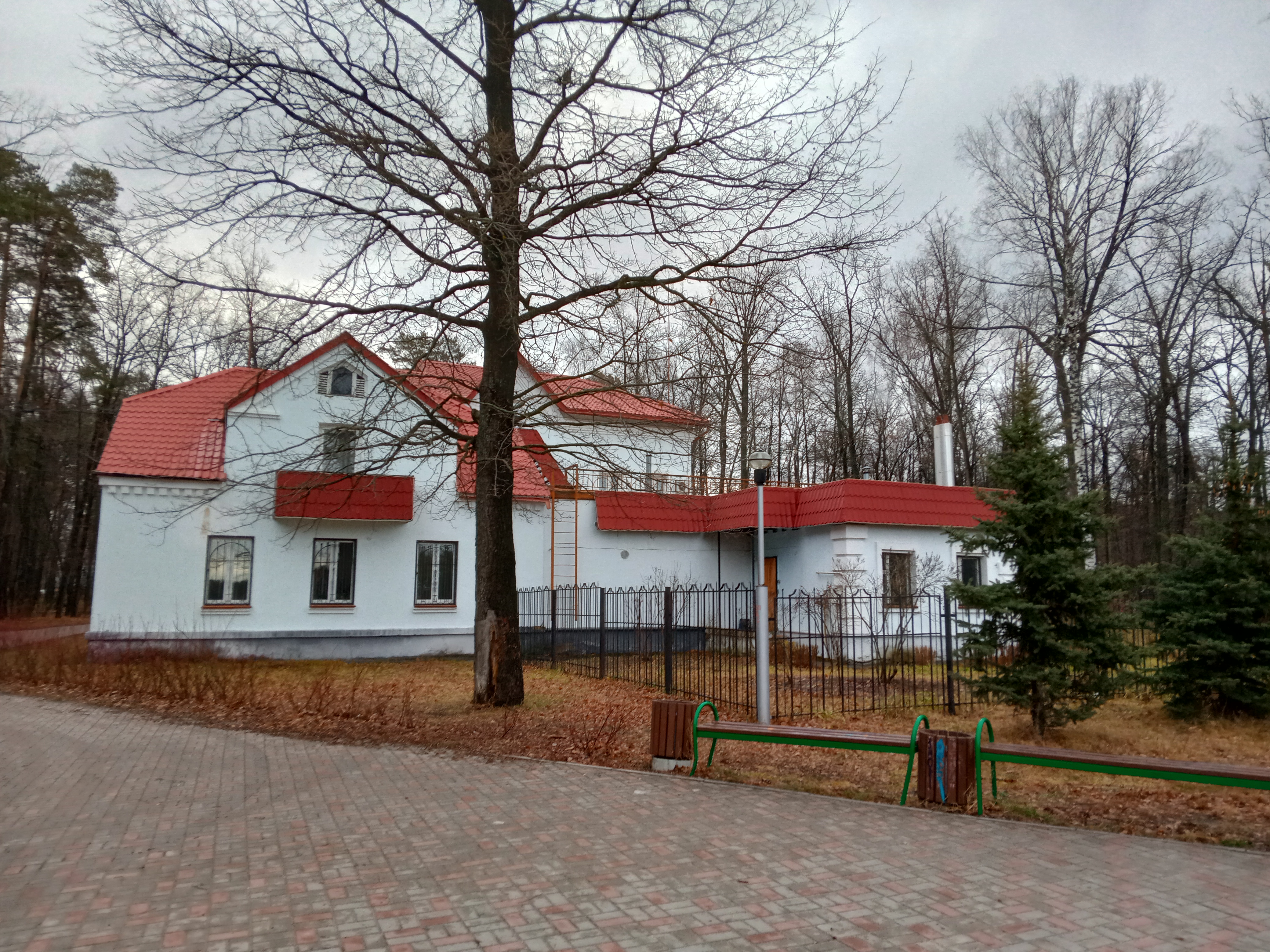 Фото Лесная