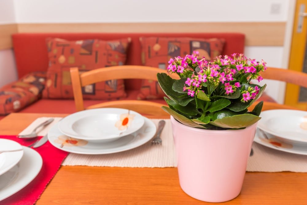 Фото Pool Apartments Galeb