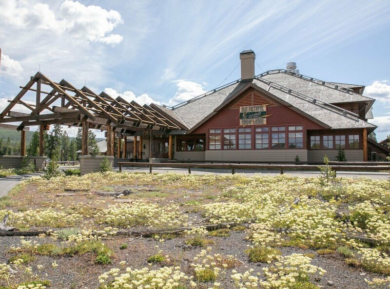 Гостиница Old Faithful Snow Lodge & Cabins — Inside the Park