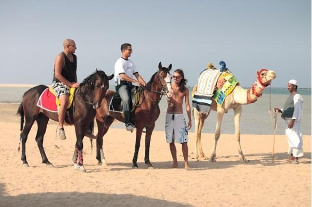 Фото Albatros Sea World Marsa Alam