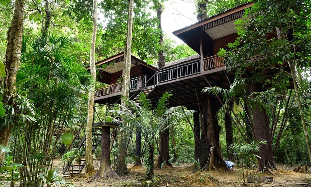 Фото Khaosok Nature Resort