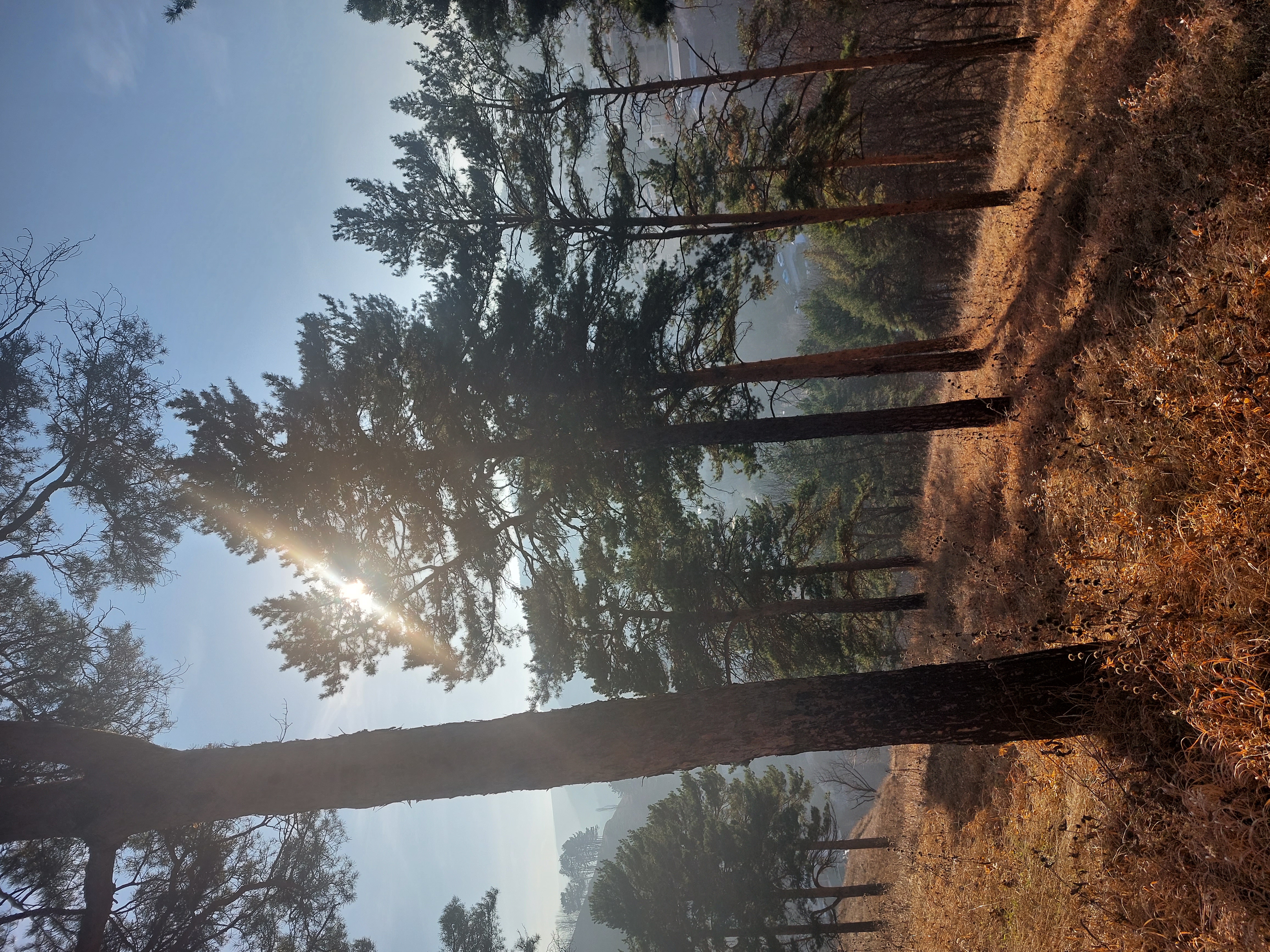 Фото Нарзан Вест