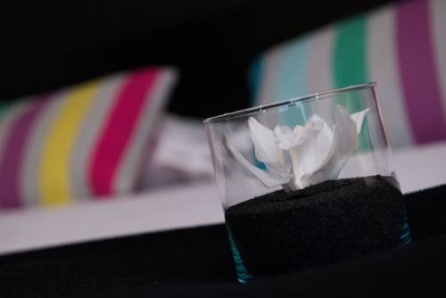 Фото Hôtel de Noailles