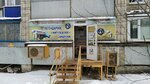 Жигулёвское пиво (Pushkaryova Street, 8), cervecería