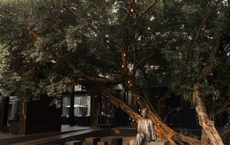 Фото Theatre Residence