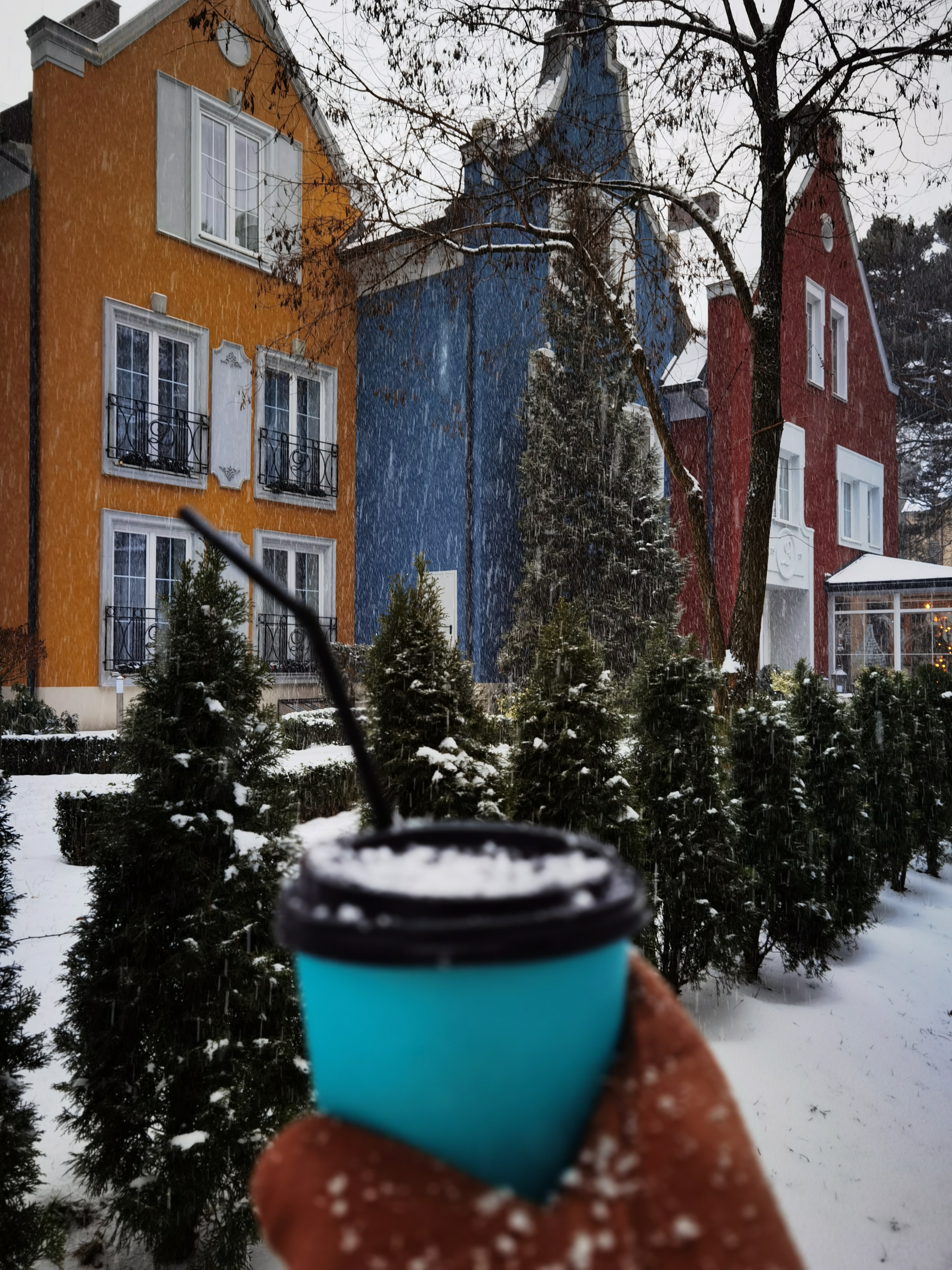 Фото Мадам Эль