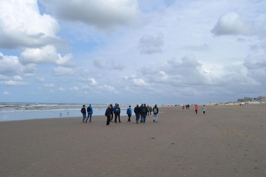 Фото B&b Little Miss Sunshine