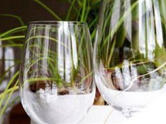 Фото Adels Lågprishotell