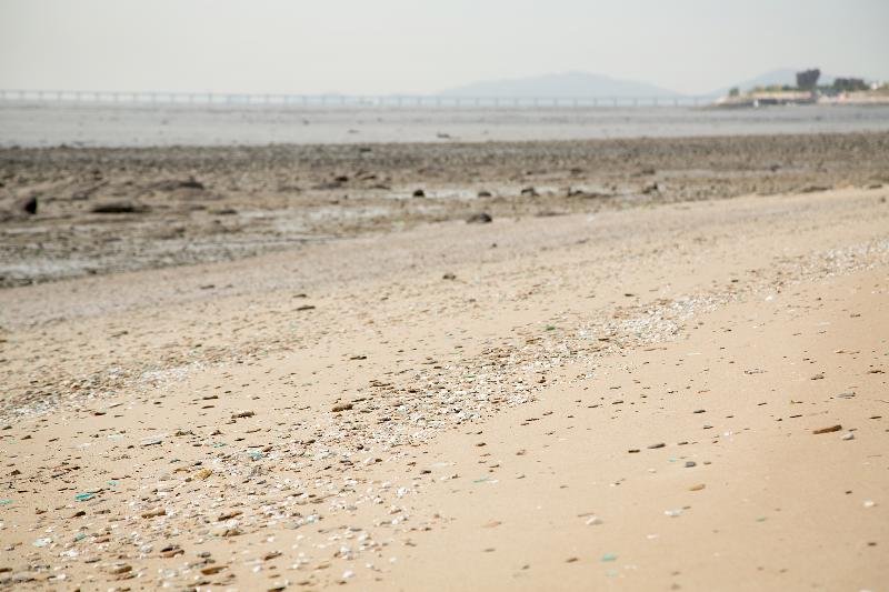 Фото Western Grace Hotel Incheon