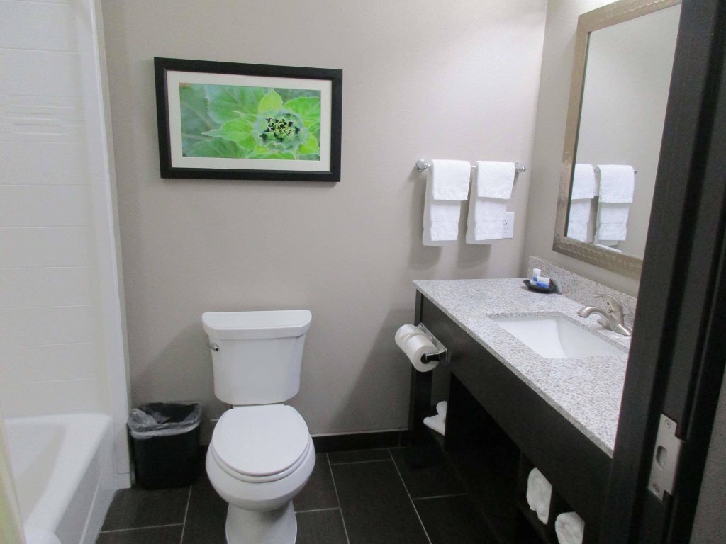 Фото Best Western Plus Tech Medical Center Inn